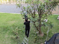 IMG_6229