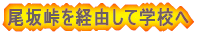 ⓻oRĊwZ