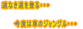 ̂ @@ёOEEE