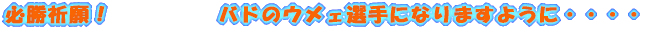 KFI@@@@@E}Ȃ܂悤ɁEEEE