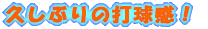 vԂ̑ŋI 