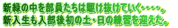 V΂̒𕔈͋삯ĂEEEEB V㏉̓yE̗K}B