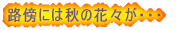 ̂ @@ёOEEE