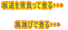 ̂ @@ёOEEE