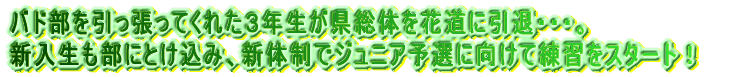 V΂̒𕔈͋삯ĂEEEEB V㏉̓yE̗K}B