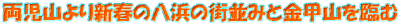 Vt̔l̊X