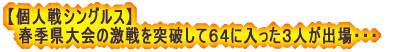 ywZ΍RjqI薼z ēFvT@Fɔ@ȰެFԏs ()ÒJAOMAXؗzNAR{NCA @AcA슨 