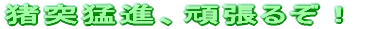 H̃g[jO 