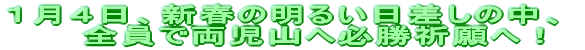 H̃g[jO 